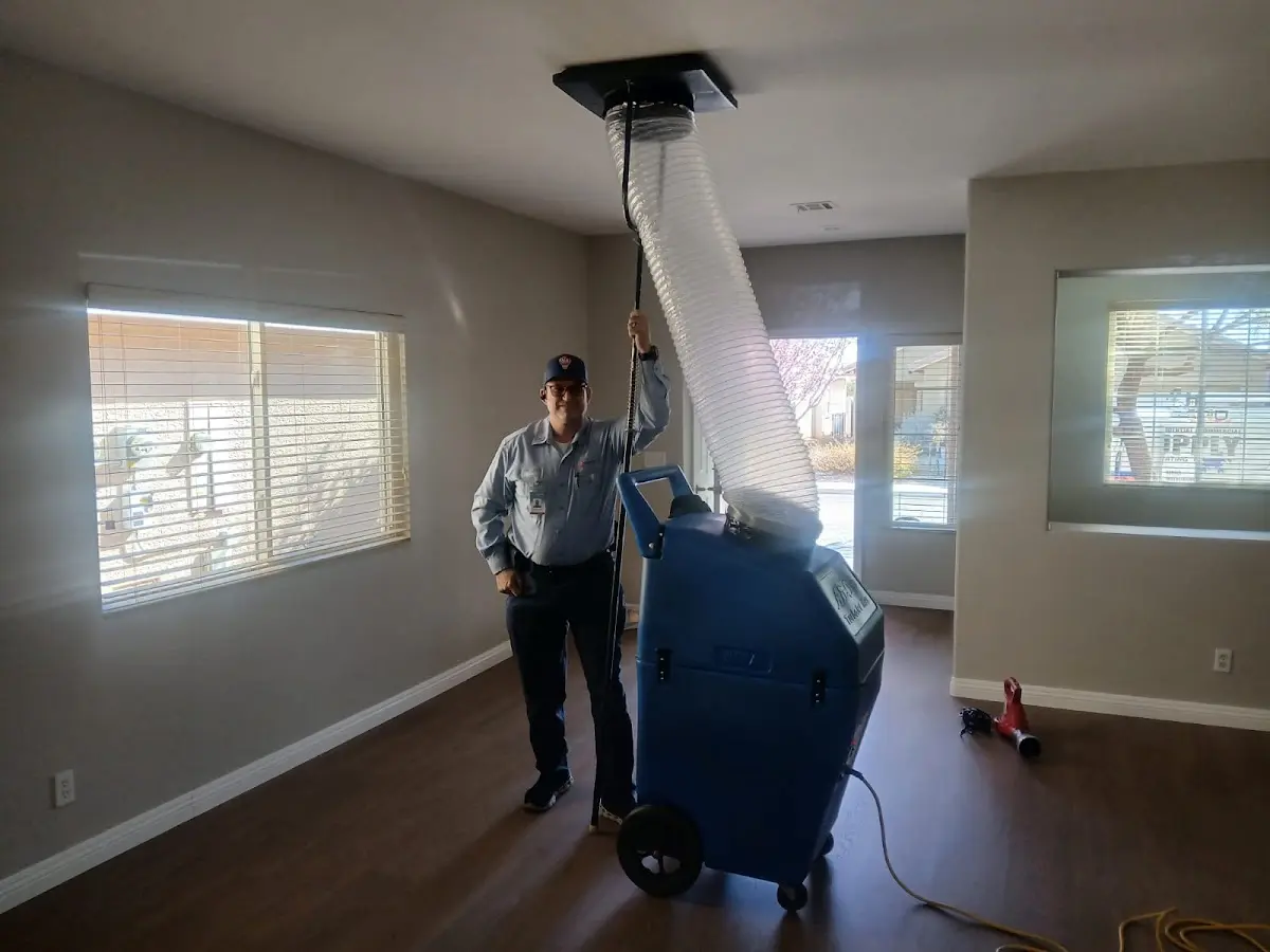 Professional Dryer Vent Cleaning work inside a Hernando home